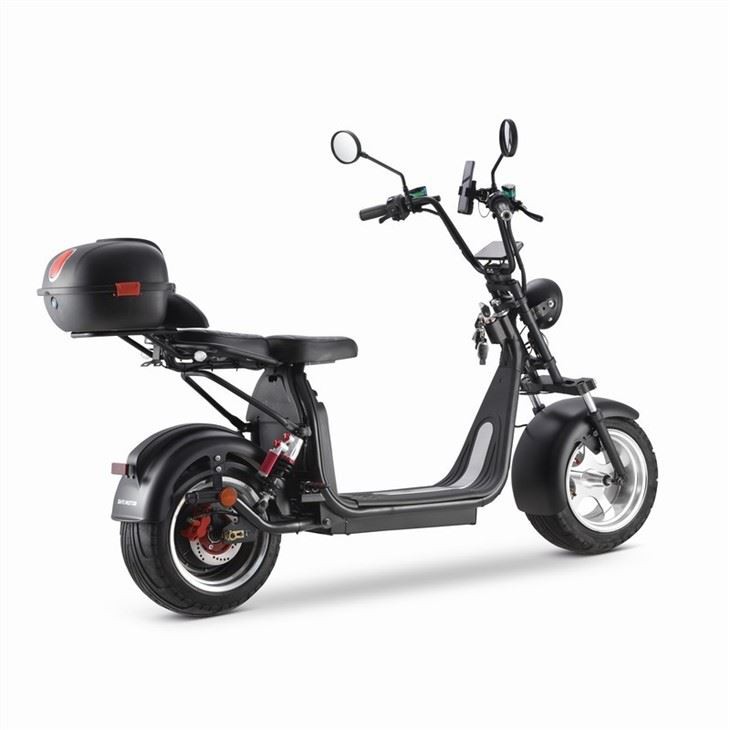 Electric Scooter (5)